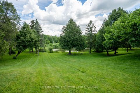 Photo 21 at 15175 Keele Street, Rural King, King