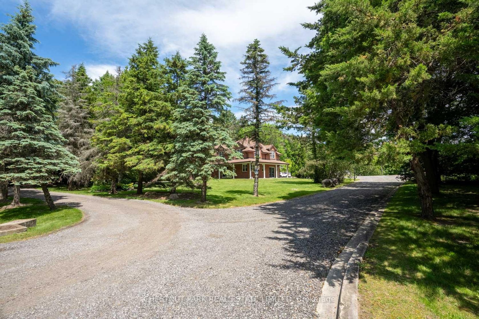 15175 Keele Street, Rural King, King photo 2