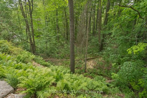 Photo 15 at 80 White Pine Trail, Rural Richmond Hill, Richmond Hill