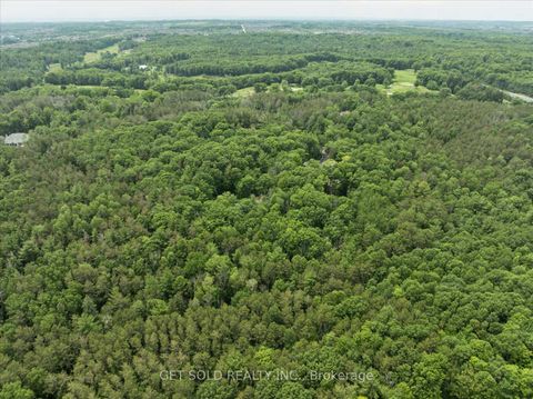 Photo 25 at 80 White Pine Trail, Rural Richmond Hill, Richmond Hill