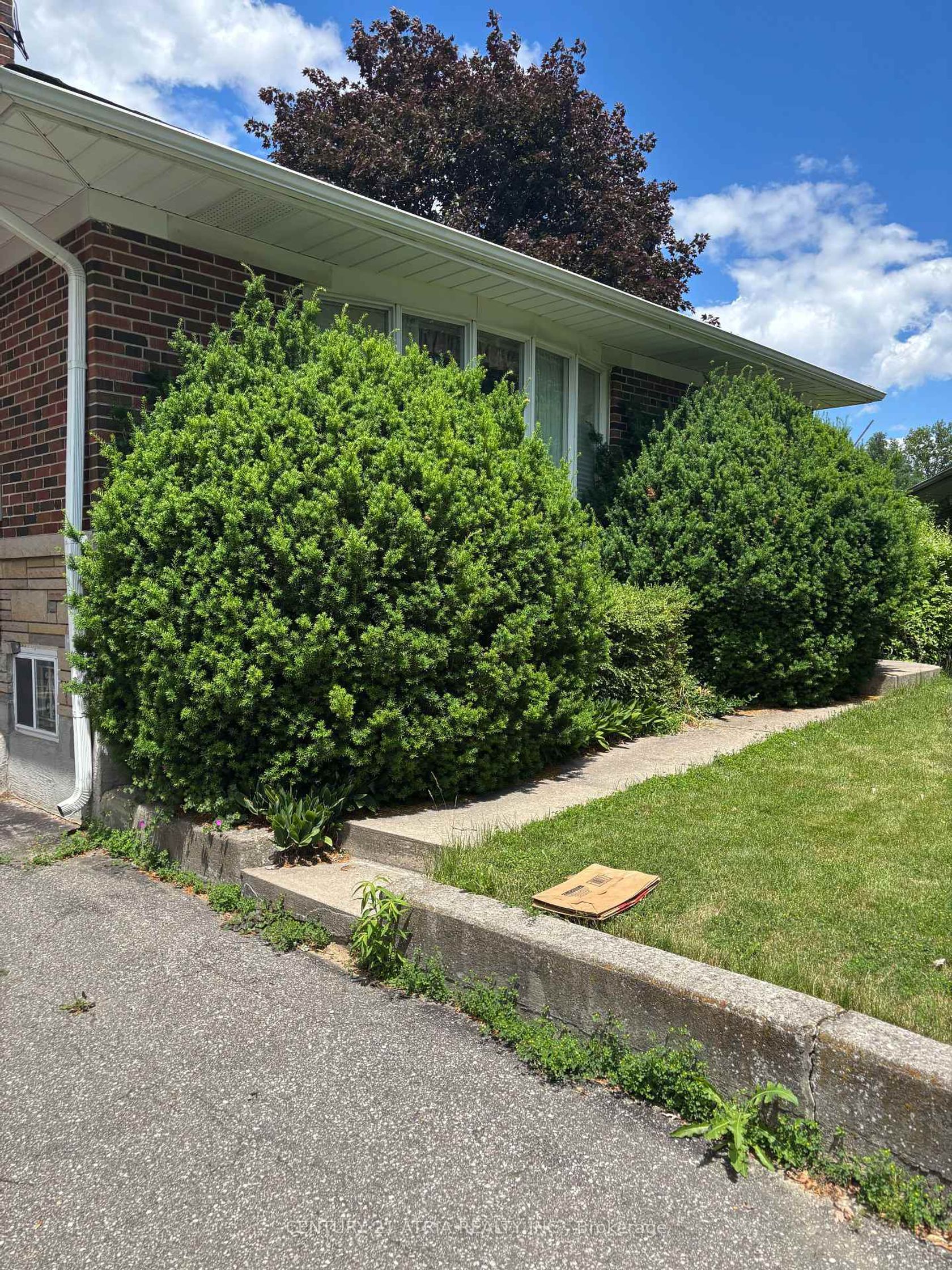 4 Winesap Place, Rosethorn, Toronto 