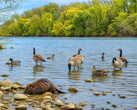 Photo 19 at 1603 - 10 Wilby Crescent, Weston, Toronto