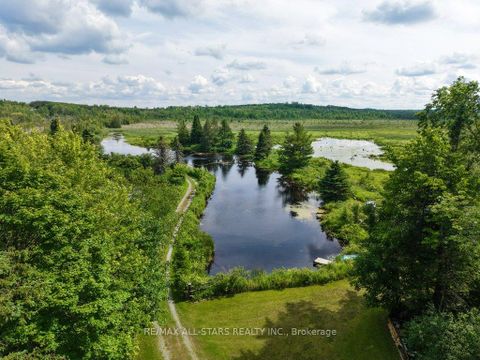 Photo 43 at 9388 Ravenshoe Road, Baldwin, Georgina