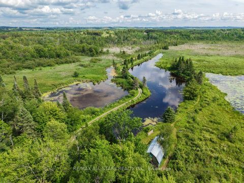 Photo 46 at 9388 Ravenshoe Road, Baldwin, Georgina