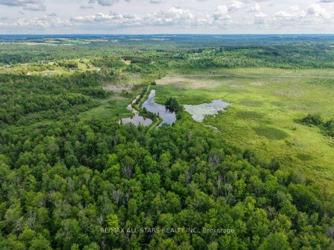 Photo 47 at 9388 Ravenshoe Road, Baldwin, Georgina