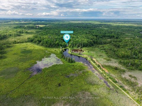 Photo 48 at 9388 Ravenshoe Road, Baldwin, Georgina