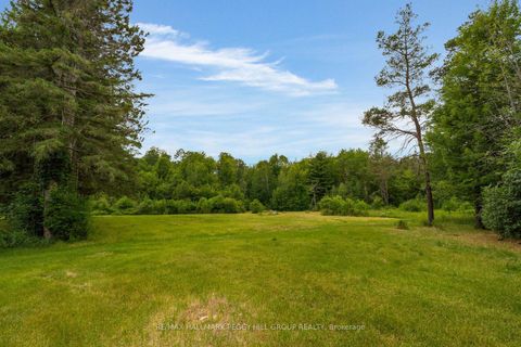 Photo 4 at 3664 Hogback Road, Rural Clearview, Clearview