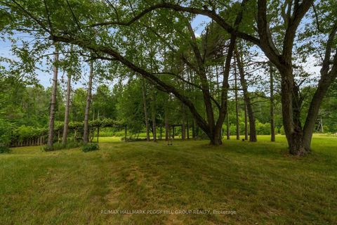 Photo 5 at 3664 Hogback Road, Rural Clearview, Clearview