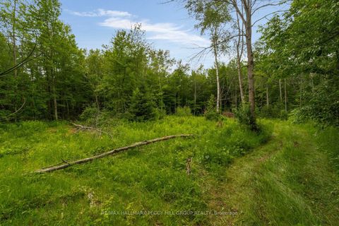 Photo 9 at 3664 Hogback Road, Rural Clearview, Clearview