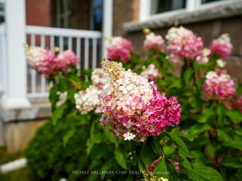 Photo 7 at 213 Mary Street, Creemore, Clearview