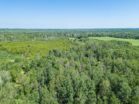 Photo 4 at 4080 12 Concession, Rural Clearview, Clearview
