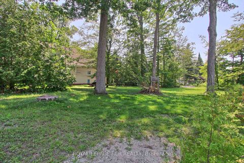 Photo 45 at 3967 Algonquin Avenue, Rural Innisfil, Innisfil