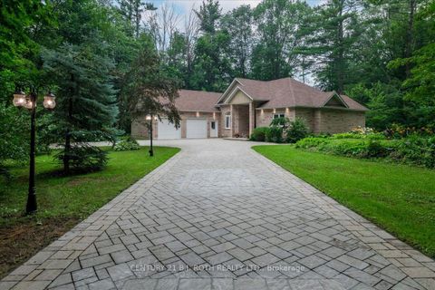 Photo 39 at 3925 Algoma Avenue, Rural Innisfil, Innisfil