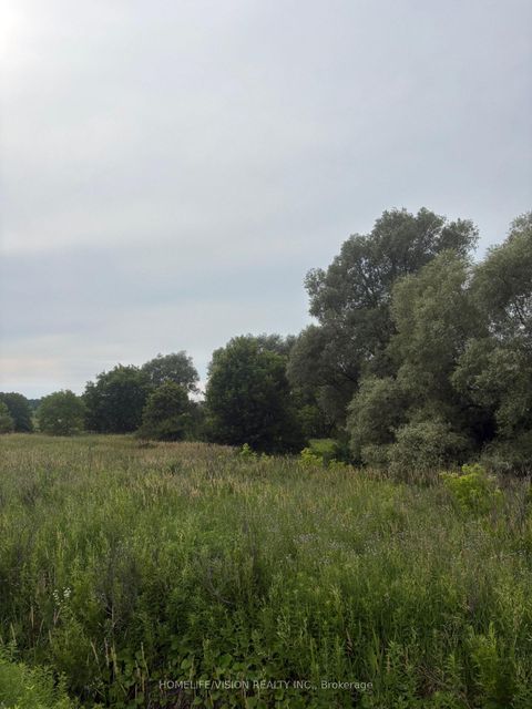 Photo 3 at  Highway 89, Cookstown, Innisfil
