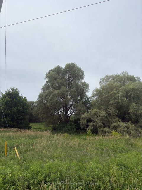 Photo 4 at  Highway 89, Cookstown, Innisfil