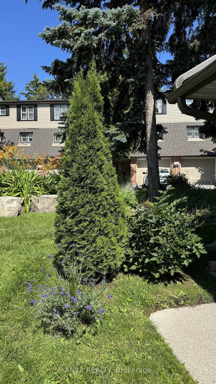 Photo 42 at 7 Purple Sageway, Hillcrest Village, Toronto