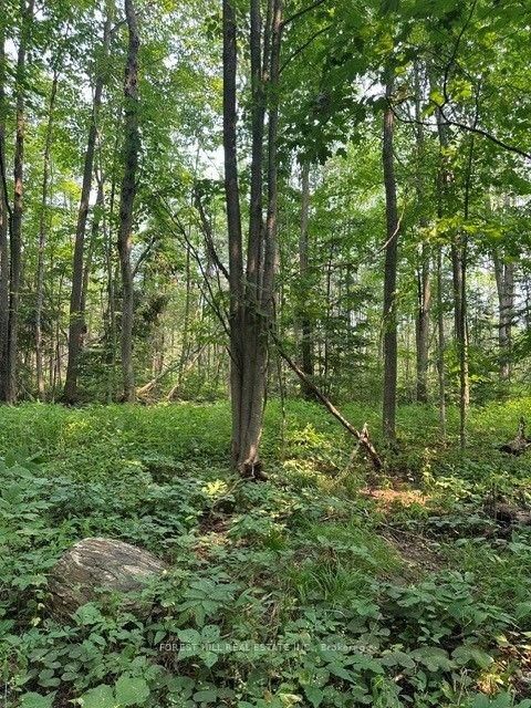 Photo 3 at 2728 25th Side Road, Rural Innisfil, Innisfil