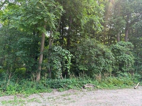 Photo 4 at 2728 25th Side Road, Rural Innisfil, Innisfil