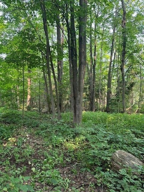Photo 5 at 2728 25th Side Road, Rural Innisfil, Innisfil