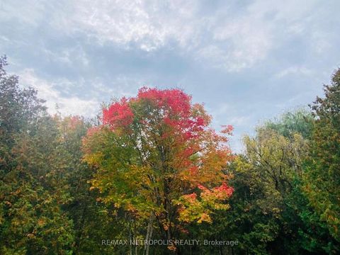 Photo 46 at 1000 Elgin Street, Leslie Valley, Newmarket