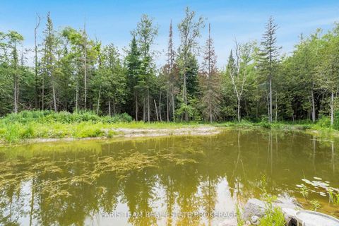 Photo 41 at 636 Harbour Street, Rural Innisfil, Innisfil