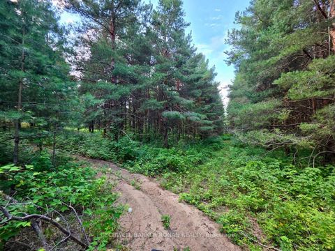 Photo 38 at 3430 Concession 3, Creemore, Clearview