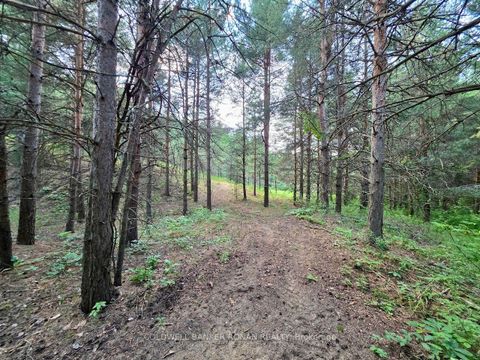 Photo 39 at 3430 Concession 3, Creemore, Clearview