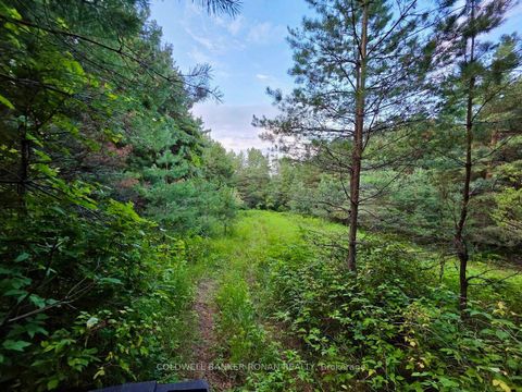 Photo 40 at 3430 Concession 3, Creemore, Clearview