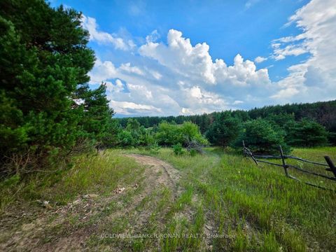 Photo 41 at 3430 Concession 3, Creemore, Clearview