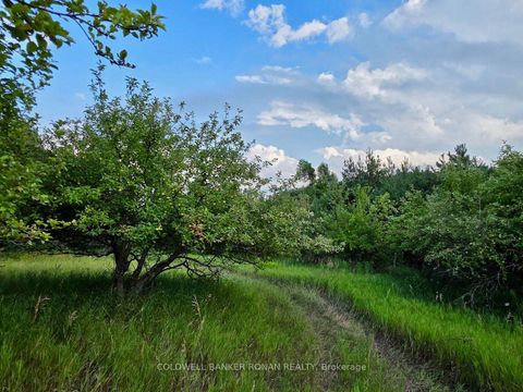 Photo 42 at 3430 Concession 3, Creemore, Clearview