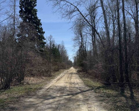 Photo 3 at N/A 8th Concession, Baldwin, Georgina