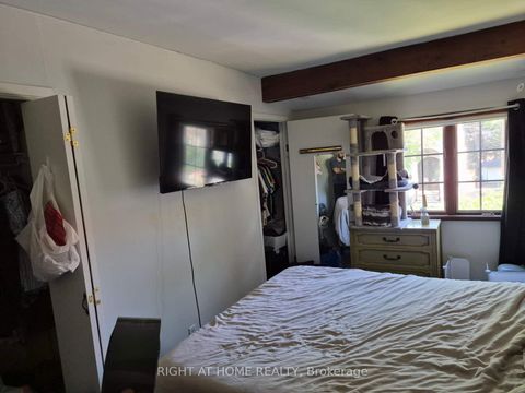 Photo 18 at 17 Gwendolen Avenue, Westgate, Toronto