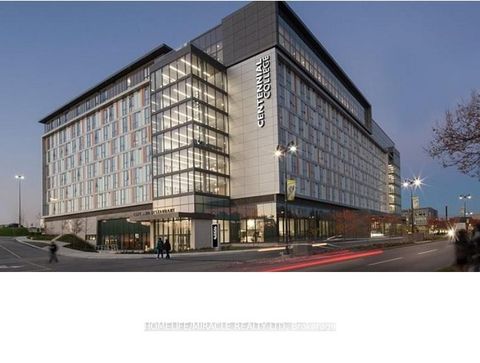Photo 28 at 137 Merkley Square, Morningside, Toronto
