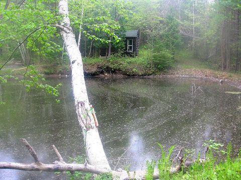 Photo 24 at 15600 Weston Road, Rural King, King