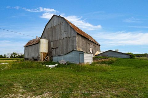 Photo 15 at 6331 26 Highway, Rural Clearview, Clearview