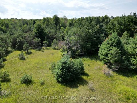Photo 1 at 3125 14th Line, Rural Innisfil, Innisfil