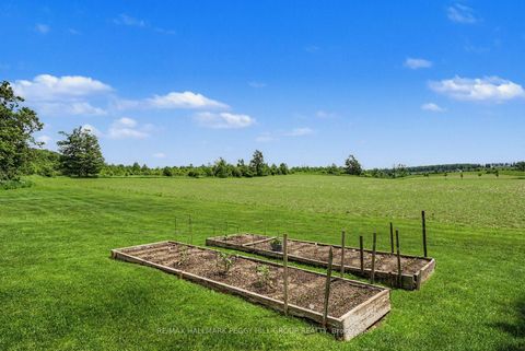 Photo 34 at 2265 Concession 11 Nottawasaga S, Rural Clearview, Clearview