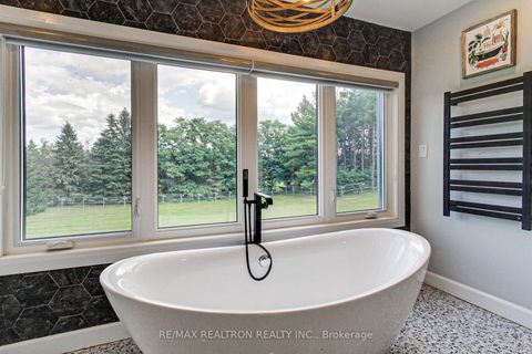 Photo 31 at 3433 Mount Albert Road, Rural East Gwillimbury, East Gwillimbury