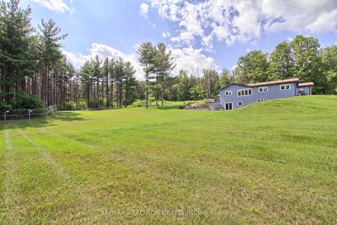 Photo 41 at 3433 Mount Albert Road, Rural East Gwillimbury, East Gwillimbury