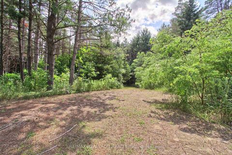 Photo 43 at 3433 Mount Albert Road, Rural East Gwillimbury, East Gwillimbury
