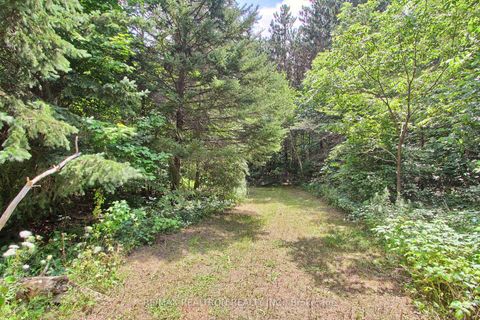 Photo 44 at 3433 Mount Albert Road, Rural East Gwillimbury, East Gwillimbury