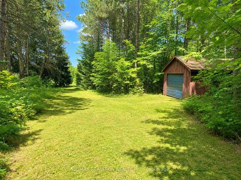 Photo 49 at 3433 Mount Albert Road, Rural East Gwillimbury, East Gwillimbury