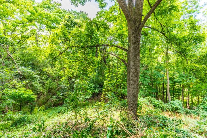 Photo 44 at 22 Heathview Avenue, Bayview Village, Toronto