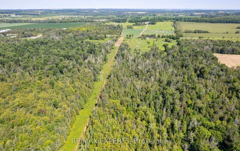 Photo 4 at 2551 3rd Line, Churchill, Innisfil