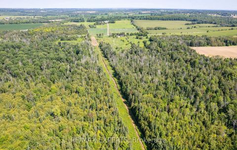Photo 5 at 2551 3rd Line, Churchill, Innisfil