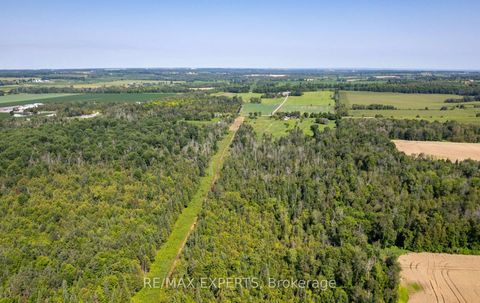 Photo 12 at 2551 3rd Line, Churchill, Innisfil