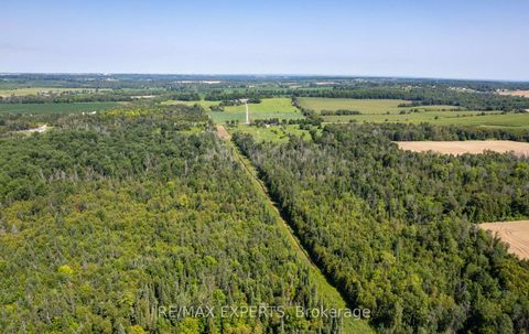 Photo 13 at 2551 3rd Line, Churchill, Innisfil