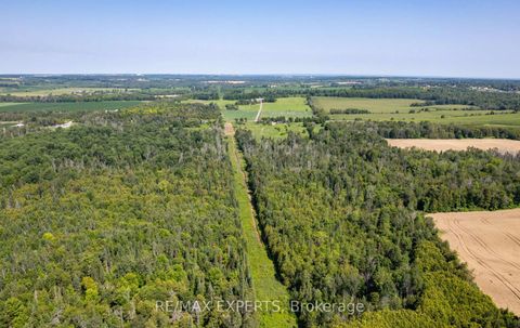 Photo 15 at 2551 3rd Line, Churchill, Innisfil