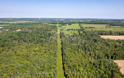 Photo 16 at 2551 3rd Line, Churchill, Innisfil
