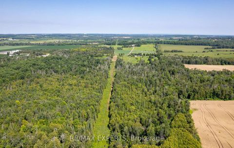 Photo 17 at 2551 3rd Line, Churchill, Innisfil